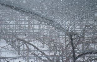 ２０１２／４／４