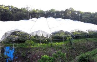 2012,06,28南陽テント修復終了
