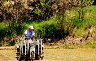小林農園　田植え