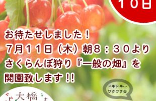 7月11日（木）さくらんぼ狩りオープン!!