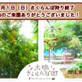 北海道芦別はさくらんぼの栽培にとても適した自然条件、甘くてジューシーなさくらんぼが育ちます。時間は無制限！食べ放題です！7月上旬～8月下旬頃