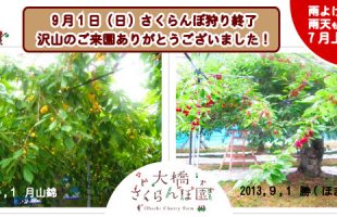 北海道芦別はさくらんぼの栽培にとても適した自然条件、甘くてジューシーなさくらんぼが育ちます。時間は無制限！食べ放題です！7月上旬～8月下旬頃